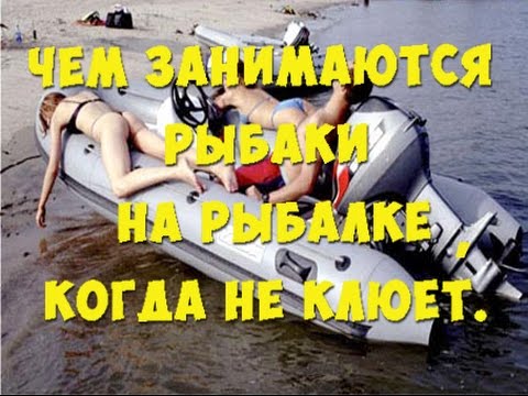 Чем занимаются рыбаки , когда не клюёт .