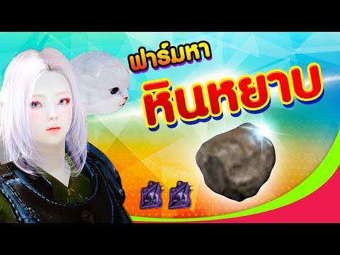 ห้ามกลากที่จะผ่าตัด ชาคาโมไมล์สำหรับกลาก