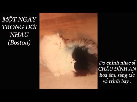 Một ngày trong đời nhau - Châu Đình An