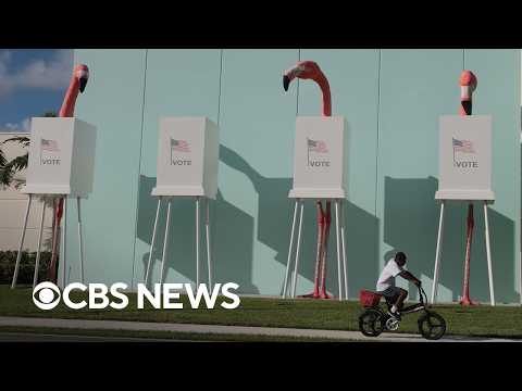 Unpacking early voting trends in North Carolina and Florida