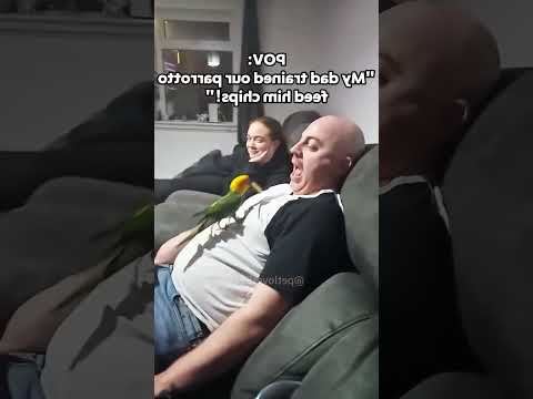 Funny cat video funny animals videos pets funny #funnycat #funnyanimals #cutecat #cats #funnypets