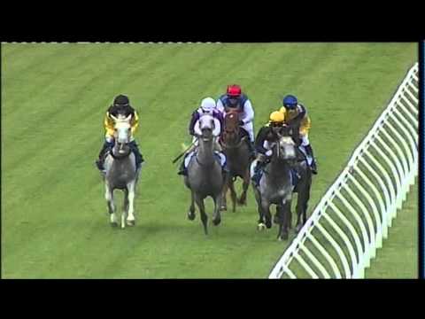 Race 1 DIAR UAE Arabian Plate 1450m 120316