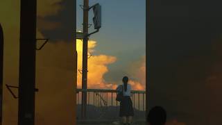 ただ生活をしているだけで、悲しみはそこそこに積もる。