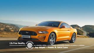 Jay Aliyev - Frozen ft. Erkin Love