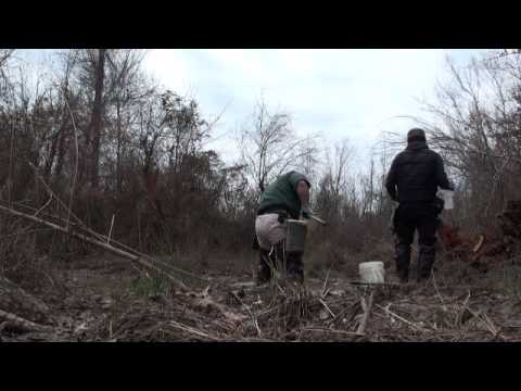 美 國 野 採 之 旅  Get ready! Crayfishing~~