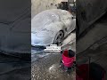 Car Soap should be simple! In the day of over complicating everything! Soap is simple for us! Car Soap should be simple! In the day of over complicating everything! Soap is simple for us!