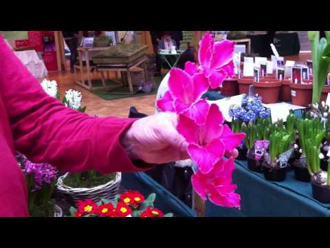 Pheasant Acre Nurseries