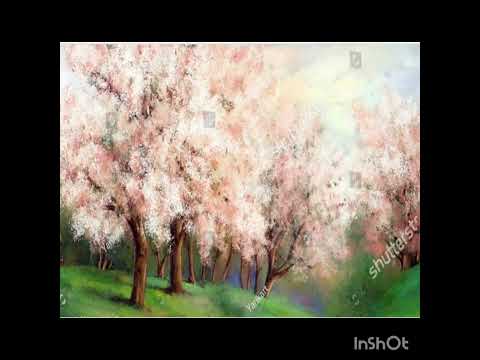 Eneida Iriarte_English VI_Task 4.