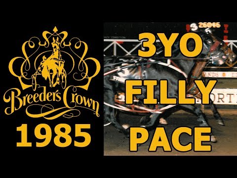 1985 Breeders Crown - Stienam - 3YO Filly Pace