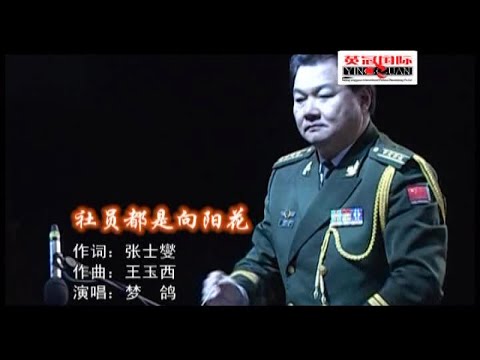 梦鸽 - 社员都是向阳花