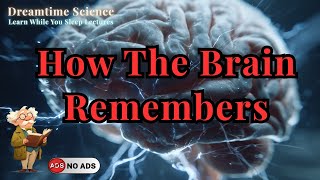 How Your Brain Remembers