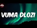 Vuma Dlozi (Lyrics/Paroles) - Big Zulu