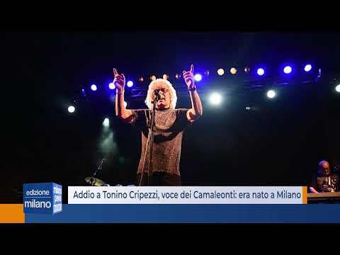 Addio a Tonino Cripezzi voce dei Camaleonti | Era nato a Milano
