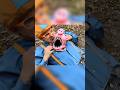 PEPPA PIG Is Living Inside BLIPPI EXE