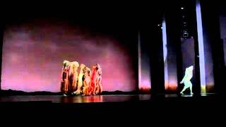 SHADOW LAND Lion King Sinagpore.AVI