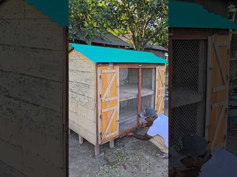 Two story chicken house #chicken #chickenlover #chickencoop #woodwork #pet