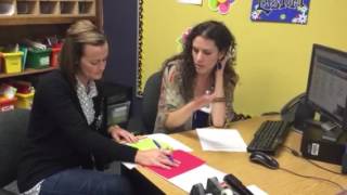 T-Tess Goal Setting Meeting (Example)