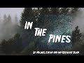 In The Pines (Version by Michael Eaton)