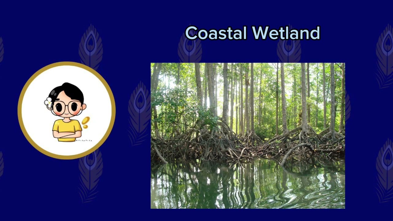 Lesson 33 - Freshwater and Wetlands