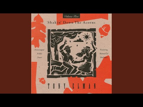 The Black Nag/Morrison's Jig