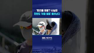 폭염 드디어 꺾이나? #shorts