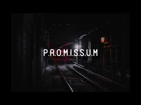 P.R.O.M.I.S.S.U.M - Arez aka Wardog Ft Nardeshi (Prod. Triple H Studio)