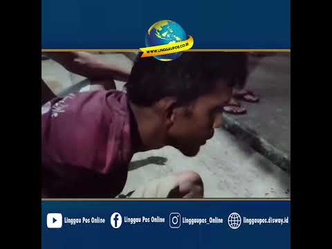 Marak Pencurian Buah Alpukat di Lubuk Linggau