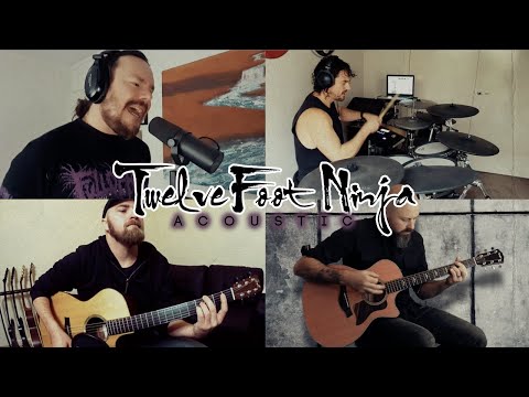 Slay At Home   Twelve Foot Ninja