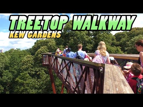 download lagu mp3 mp4 Kew Treetop Walkway, download lagu Kew Treetop Walkway gratis, unduh video klip Kew Treetop Walkway