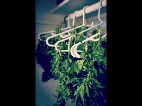 El Chumbeque Feat. Ezkematiko - Un poco de mota (Beat Dr. Psycho)