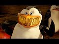 DreamWorks Madagascar Train Scene Clip Movie Madagascar 3 Europe S Most Wanted Kids Movies