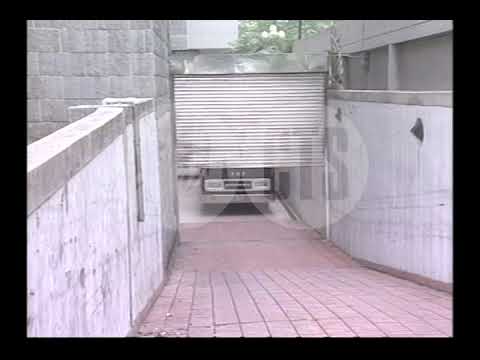 偵訊24小時 葉素菲遭收押