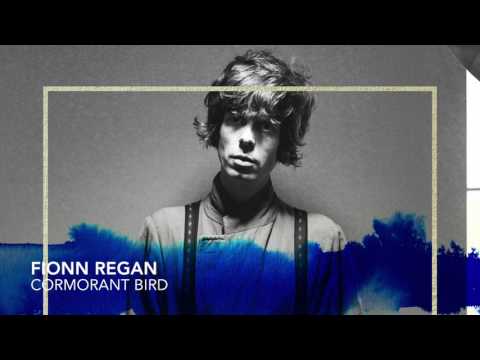 Fionn Regan - Cormorant Bird