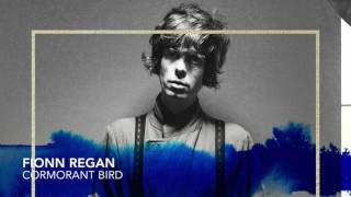 Fionn Regan - Cormorant Bird video