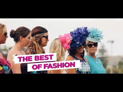 Experience the Thrill of Auckland Cup Week