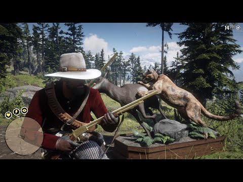 Red Dead Redemption 2: All Hunting Requests - Wildlife Art Exhibition Ms L Hobbs
