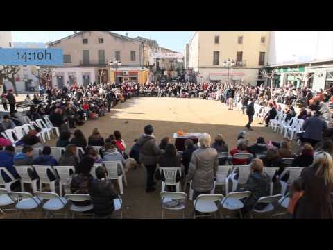Festa Sant Antoni Abat 2013