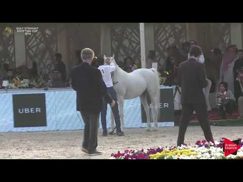 N.161 TURKI AL RAYYAN - Gulf SE Cup 2018