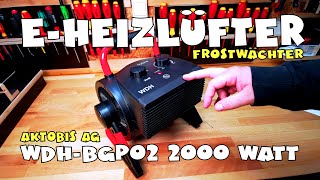 Aktobis - E-Heizlüfter Frostwächter WDH-BGP02 2000 Watt