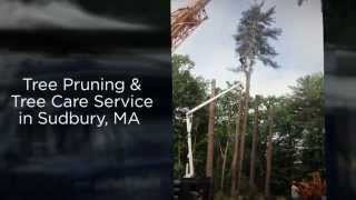 preview picture of video 'Manning Tree & Landscape, Inc in Sudbury, MA'