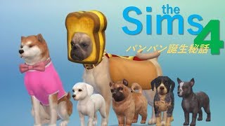 [Sims4]ホッドドッグパン助の誕生秘話[シムズ4]-ほーむず