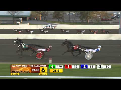 Simpson Memorial - Wiggle It Jiggleit - May 2, 2015