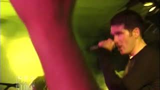 Mollys Yes - "Fall Down"