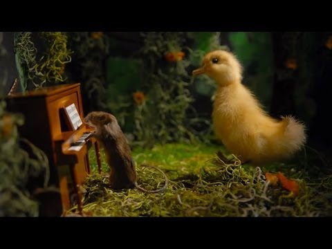 Ethan Gold - Royal Flush (Official Video)