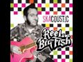 Reel Big Fish - Don't Start A Band (acoustic version) HQ