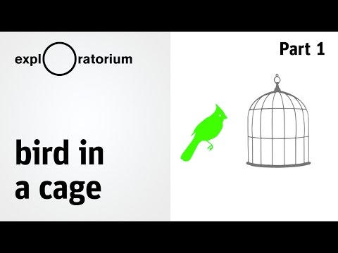 What's an afterimage? Experience it for yourself - Science Snacks activity