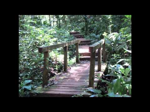 Ottoman - Gipsy reggae feeling (Magyarul) / Ottoman