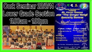 Taekwondo Seminar in Cork (Part 1) | Ginger Ninja Trickster