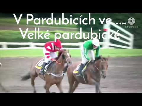 131.Velká pardubická