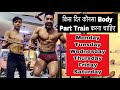Full Week Gym Workout Plan | Muscle Gain, Body Size & Fat Loss